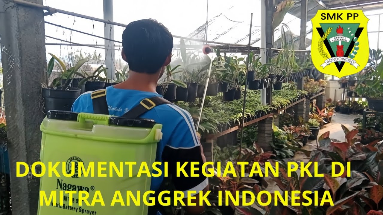 Dokumentasi selama melakukan kegiatan PKL DI MITRA ANGGREK INDONESIA#SMKPP N 1 TEGALAMPEL