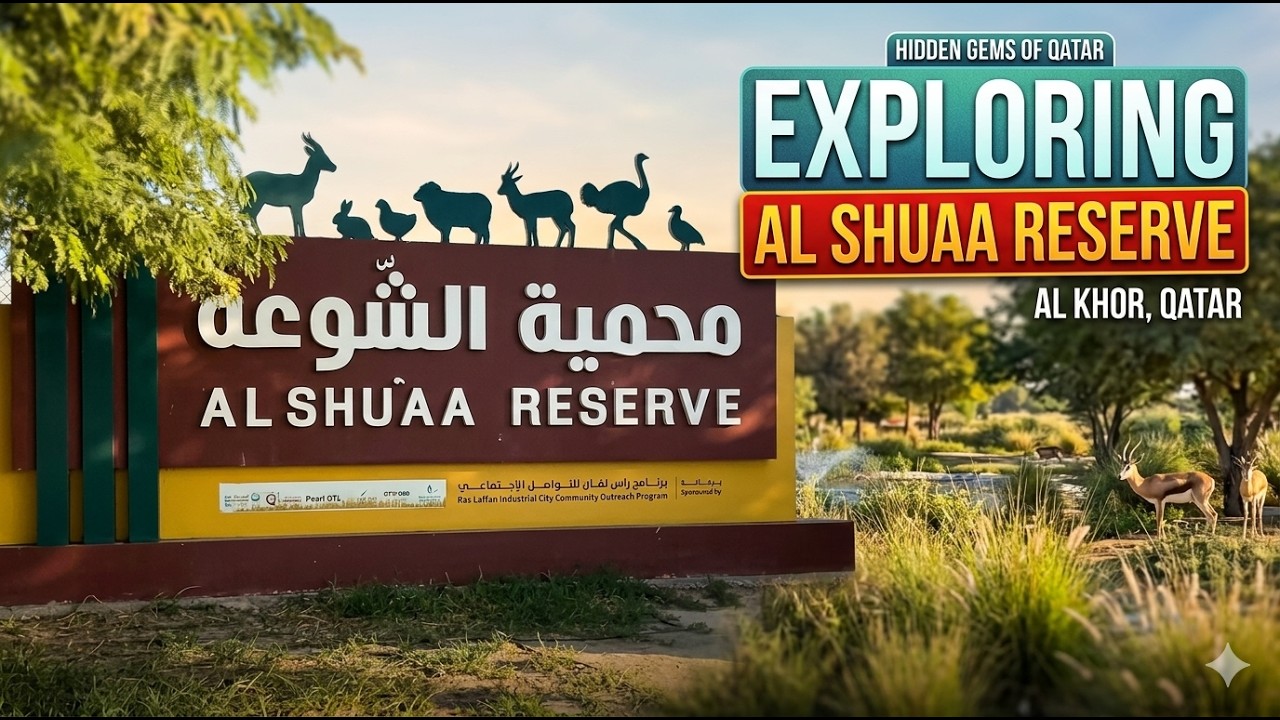 Exploring Al Shuaa Reserve, Al Khor | Hidden Gems of Qatar