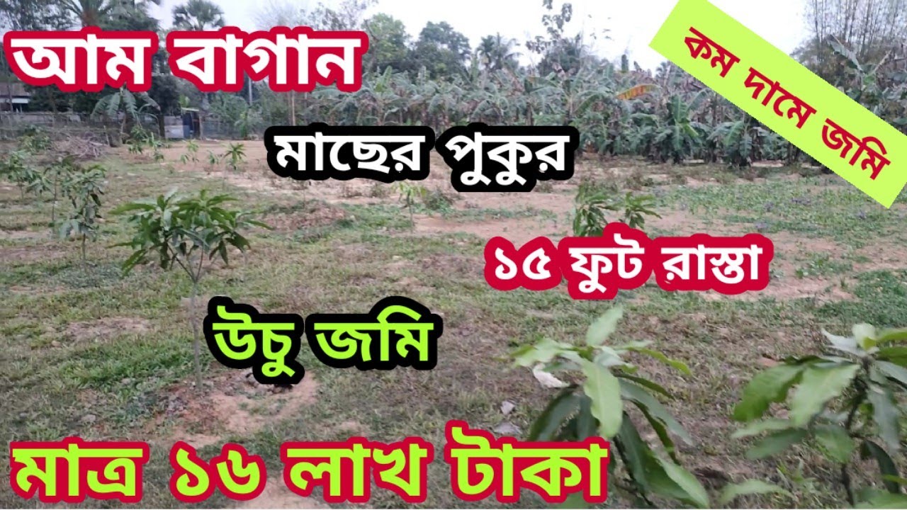 রেডি খামার বাড়িসহ ১০ বিঘা জমি বিক্রয় হবে | bd property | land sell | land sale | jomi bikroy