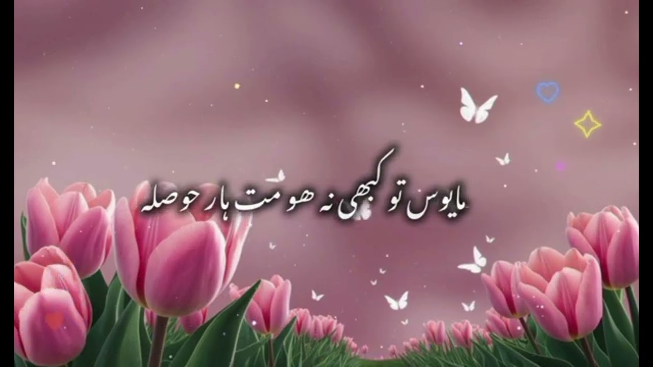 7 December 2025