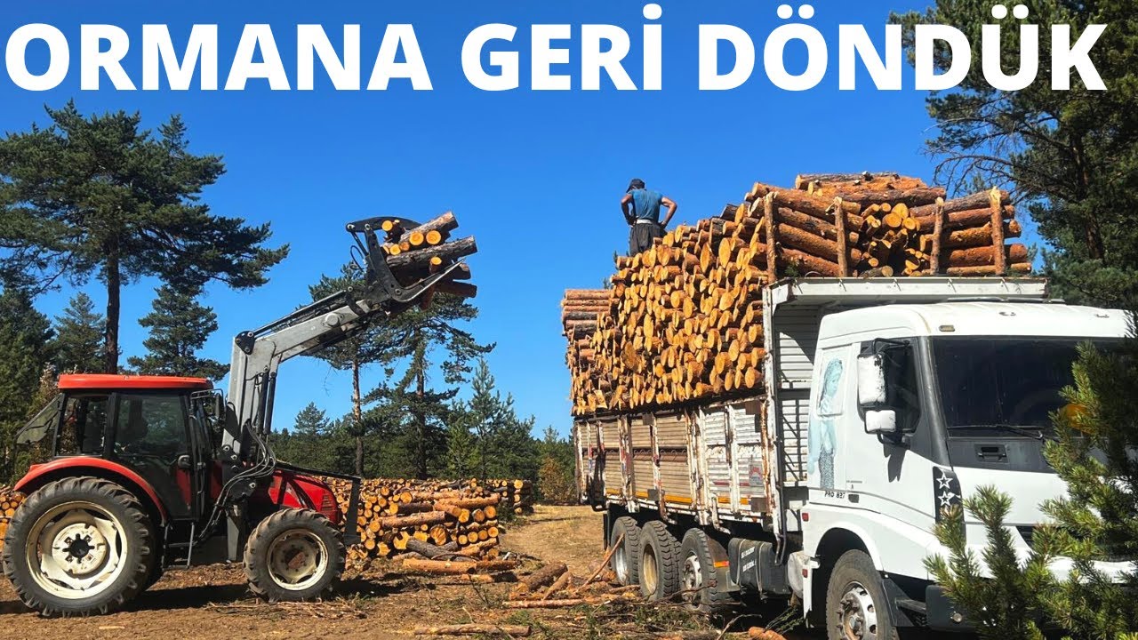 YENİ İŞ-ORMANA GERİ DÖNDÜK-BMC PRO 1142 ORMANDA ÇOK ZORLANDI-ORMANDA ZORLU YOLCULUK