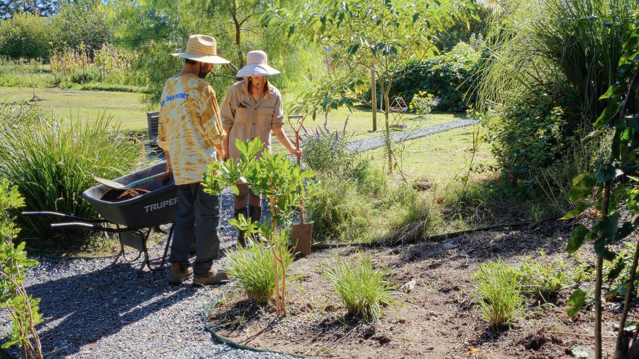 OTOÑO EN EL CAMPO 🍁 | cosechando pensamientos | jardinería, cocinamos fajitas y zapallos en almibar