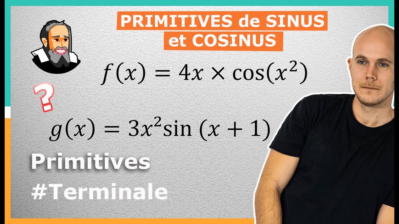 Calculer des PRIMITIVES avec COS et SIN - Exercice Corrigé - Terminale