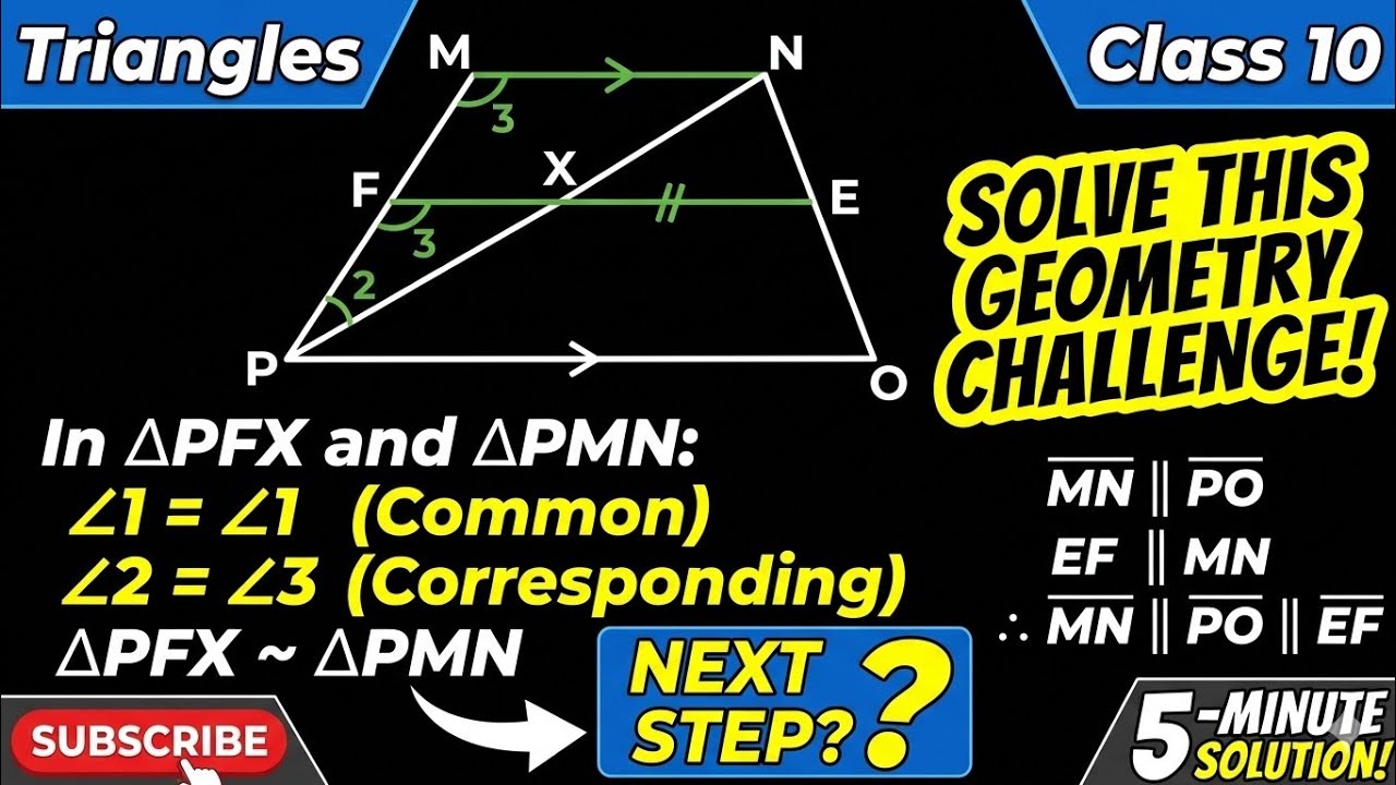 MNOP is trapezium with MN PO and PO=2MN line segment FE drawn parallel MN Compartment 2025 Question