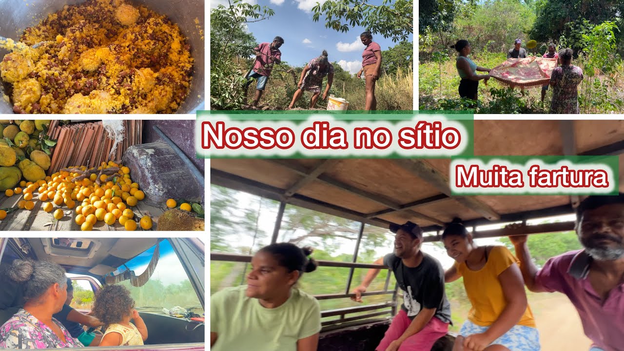UM DIA DE AVENTURAS NO SÍTIO / MUITA FARTURA / FIZEMOS ALMOÇO + TROUXEMOS MUITAS FRUTAS
