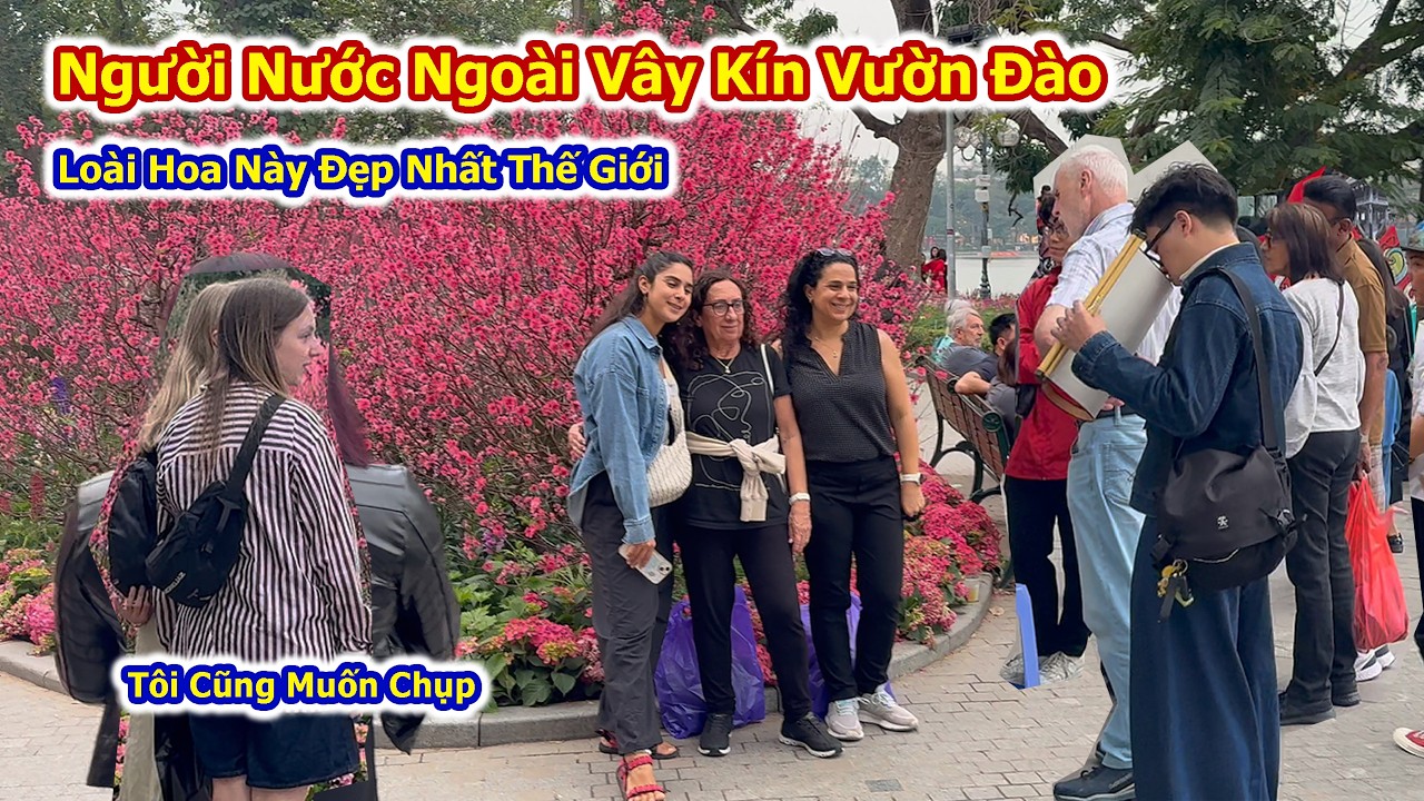 Người Nước Ngoài Bất NGờ Với Vẻ Đẹp Của Hoa Đào Bên Hồ Gươm Đón Chào Xuân Bính Ngọ 2026
