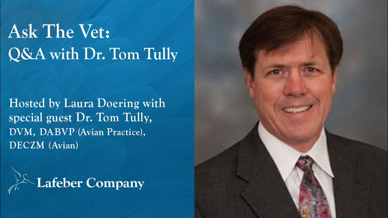 Ask The Vet, Episode 60: Q&A with Tom Tully, DVM, DABVP (Avian Practice), DECZM (Avian)