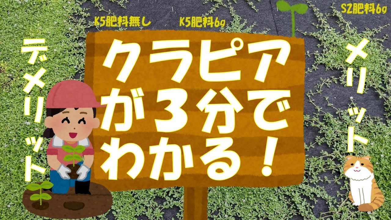 ３分でわかるクラピアのメリットとデメリット