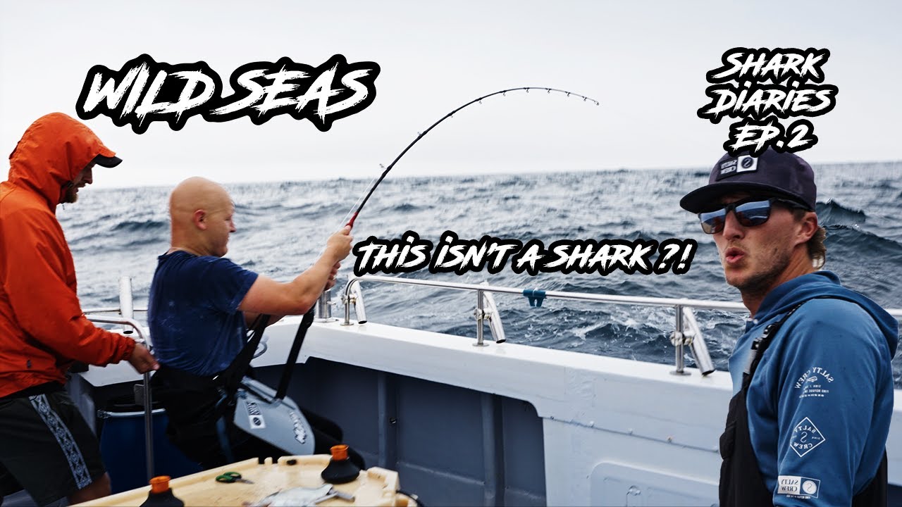 Shark Diaries: Ep.2 - Catch & Release Shark Fishing With BIG SURPRISE!