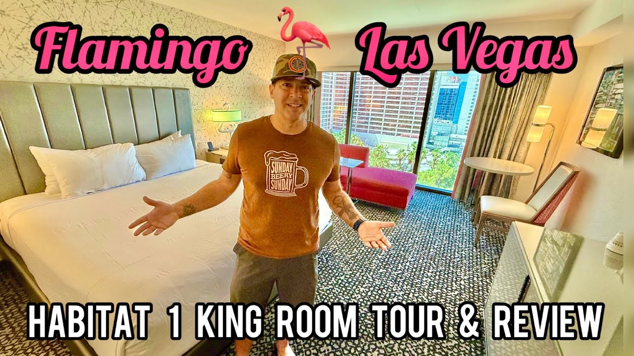 Flamingo Habitat Room Tour and Review June 2025