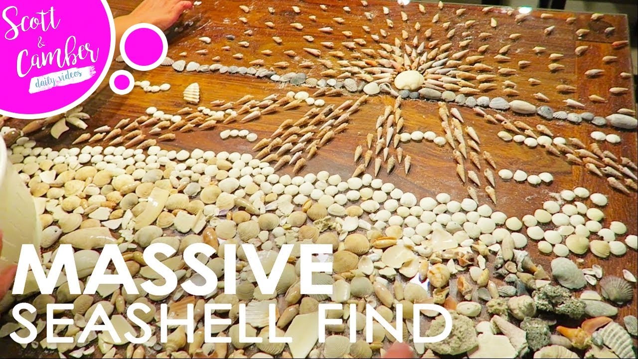 SECRET SEASHELL SPOT IN DESTIN FLORIDA...MASSIVE FIND!! | Scott and Camber