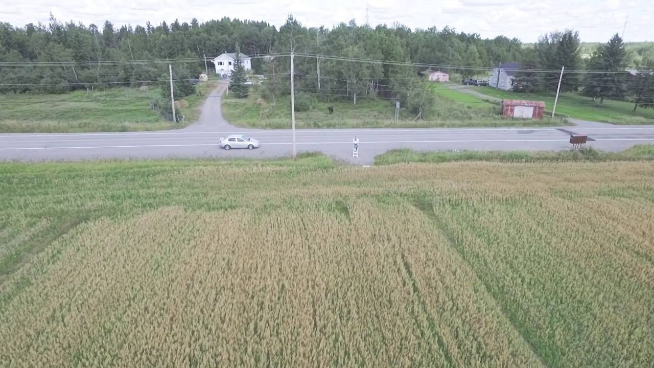 DJI Phantom 3 Professional - (5.28 miles) 8.5 km range