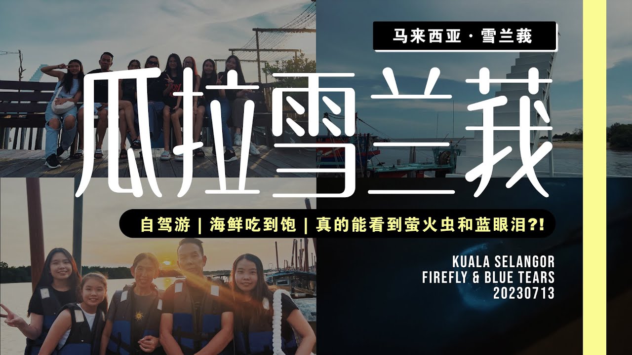 瓜拉雪兰莪半日游🇲🇾｜Kuala Selangor Family Trip｜绝美打卡地点｜真的能看到萤火虫和蓝眼泪？｜Ellas Yap