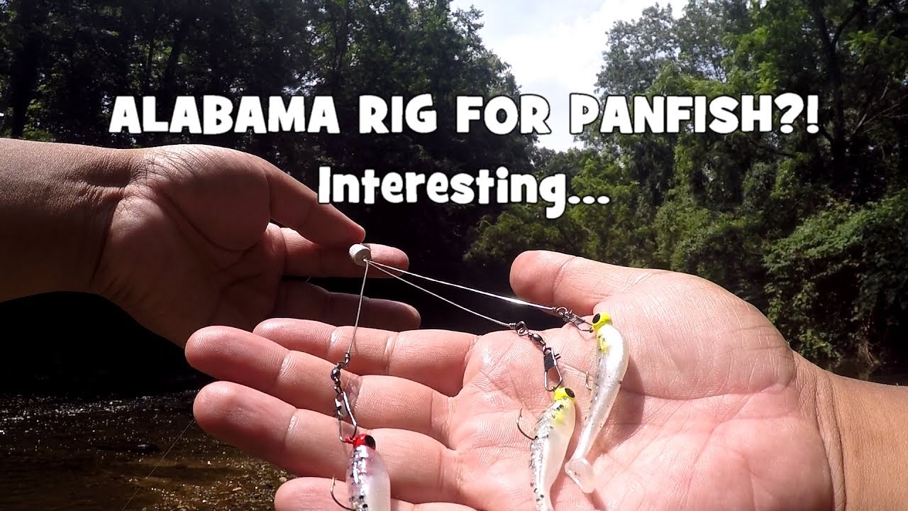 ALABAMA Rig for PANFISH?! WADING & Fishing w/ my MTB BOX! (Panfish Slam) (Bethayres, PA)