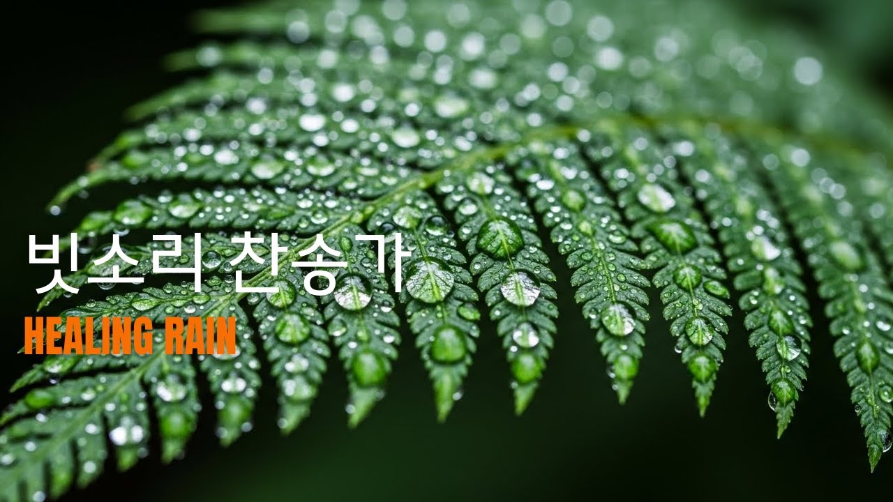 내 모습 이대로 빗소리 용납하시는 사랑 워십 곡 | Just As I Am Rain Worship