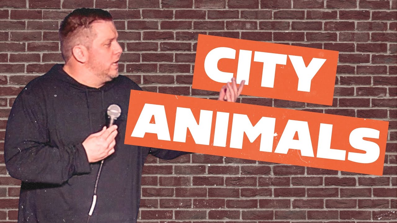 Best of Derrick Stroup City Animal Jokes (NYC Rats, Cats, Raccoons, Pigeons) | Derrick Stroup
