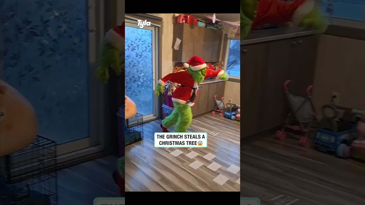 The Grinch Steals a Christmas Tree 😱 (🎥: ViralHog)