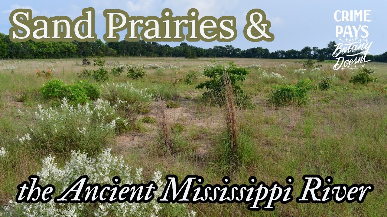Sand Prairies & Remnants of the Ancient Mississippi River