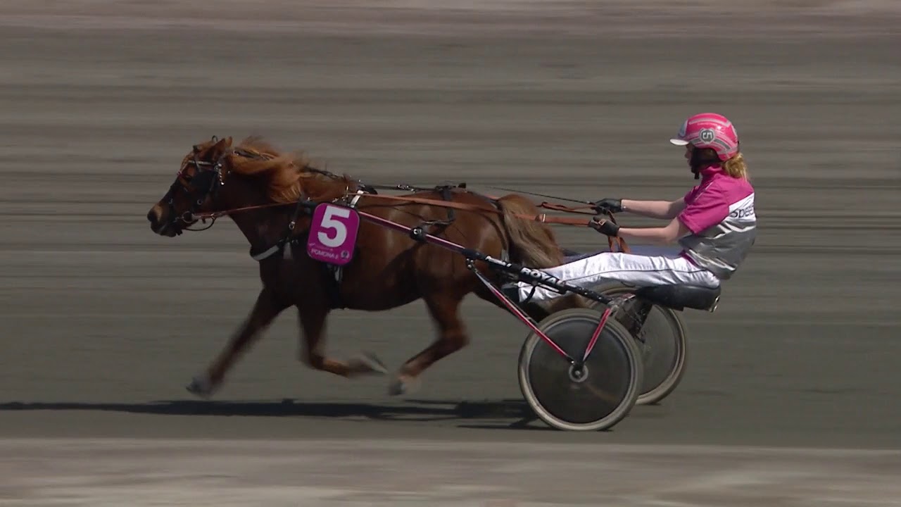 Solvalla 2018-05-26 Mini Elitloppet
