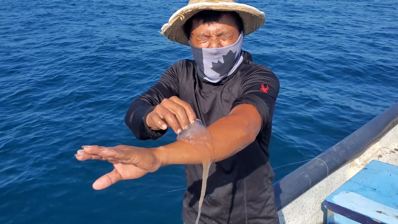 AGUA MALA (MEDUSAS) nunca, pero nunca debes tocarlas