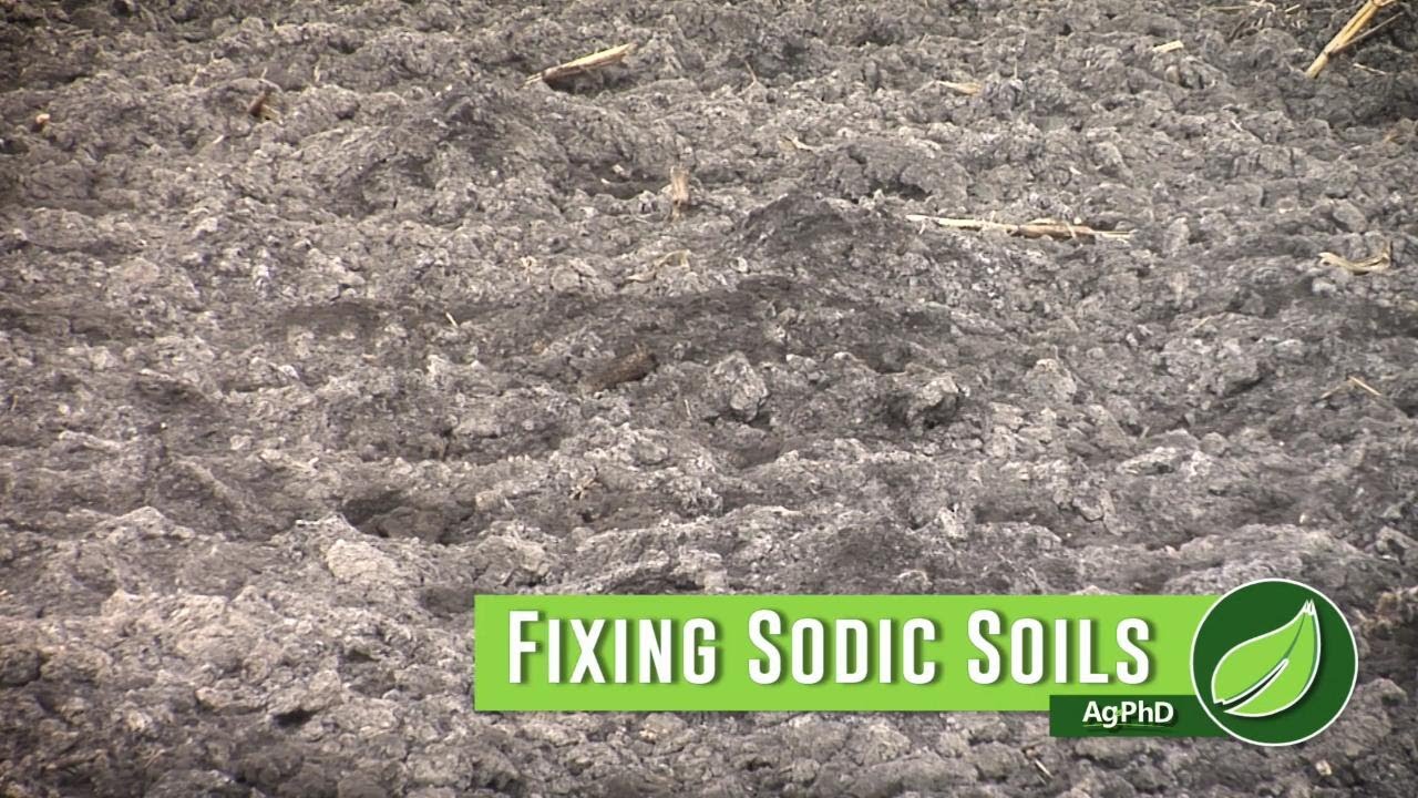 Fixing Sodic Soils 
