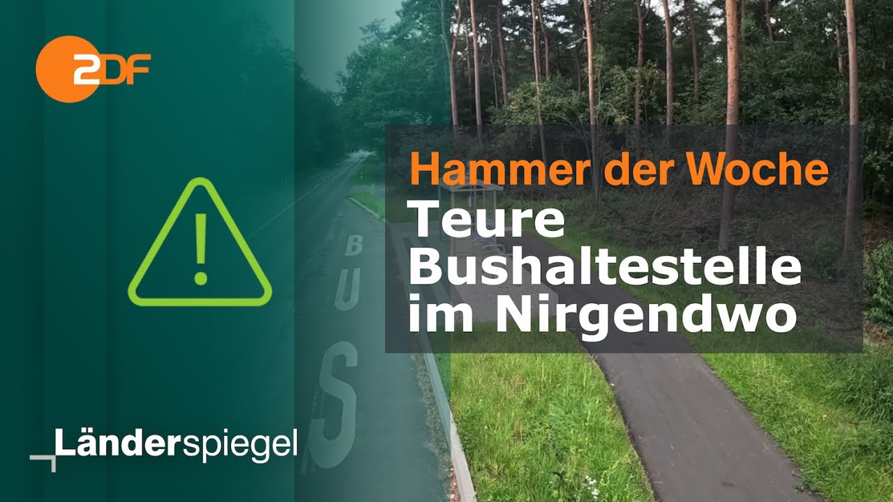 Teure Bushaltestelle im Nirgendwo | Hammer der Woche vom 10.8.24 | ZDF