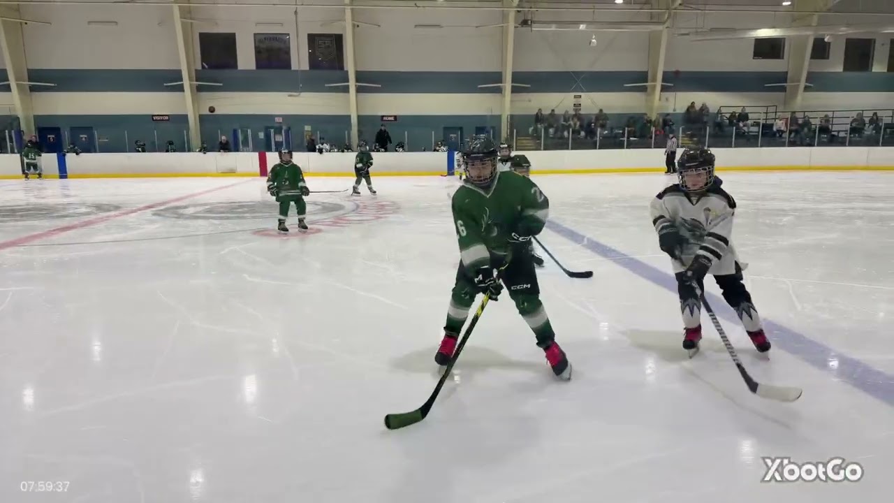 U11 SilverHawks vs Cranbrook tourny