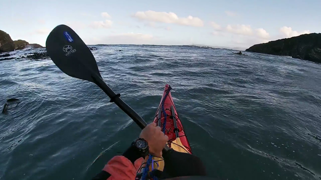 Península Mitre 5 días en Kayak