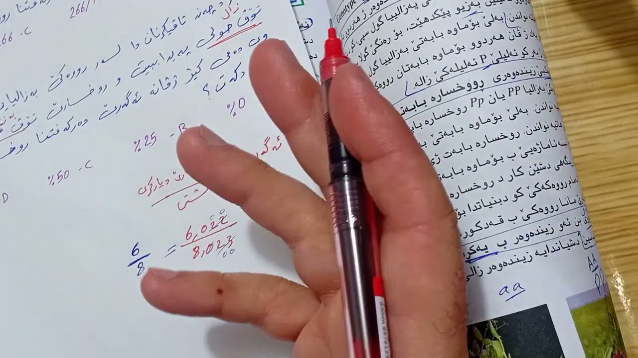 ٨ مارس ٢٠٢٦