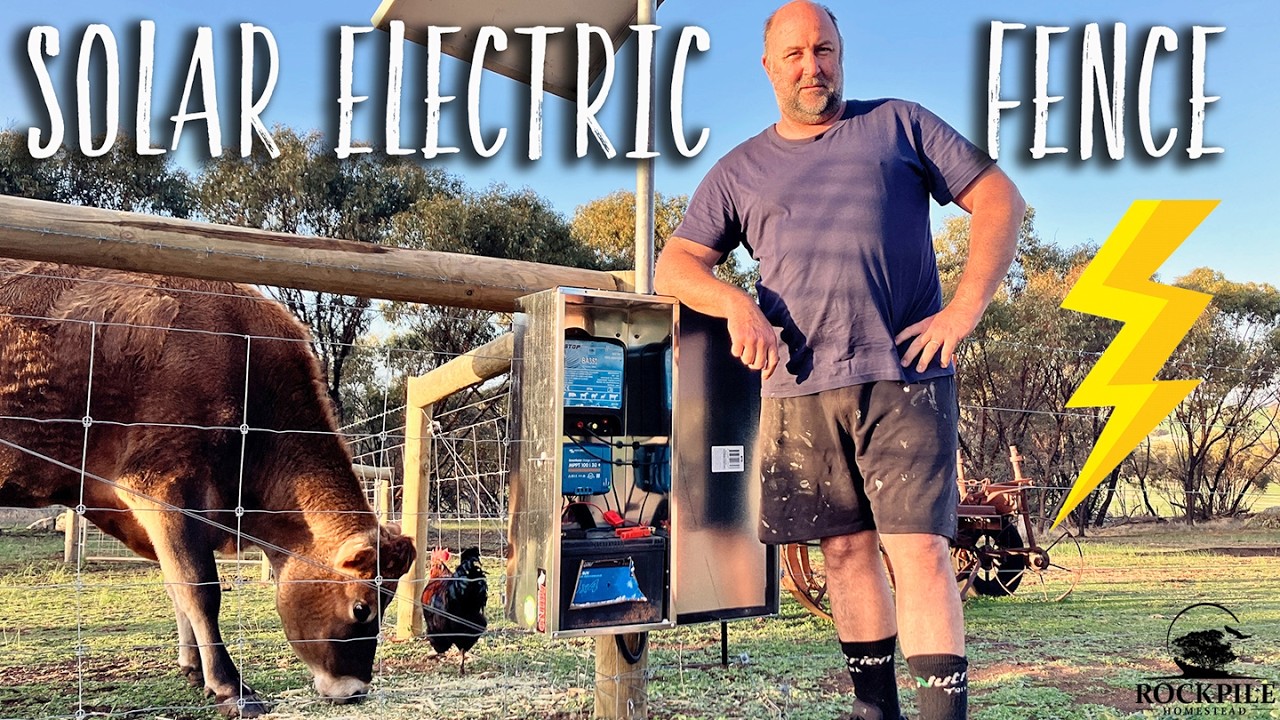 Low-cost SOLAR powered electric fence system step by step | Australian Off-grid Homestead