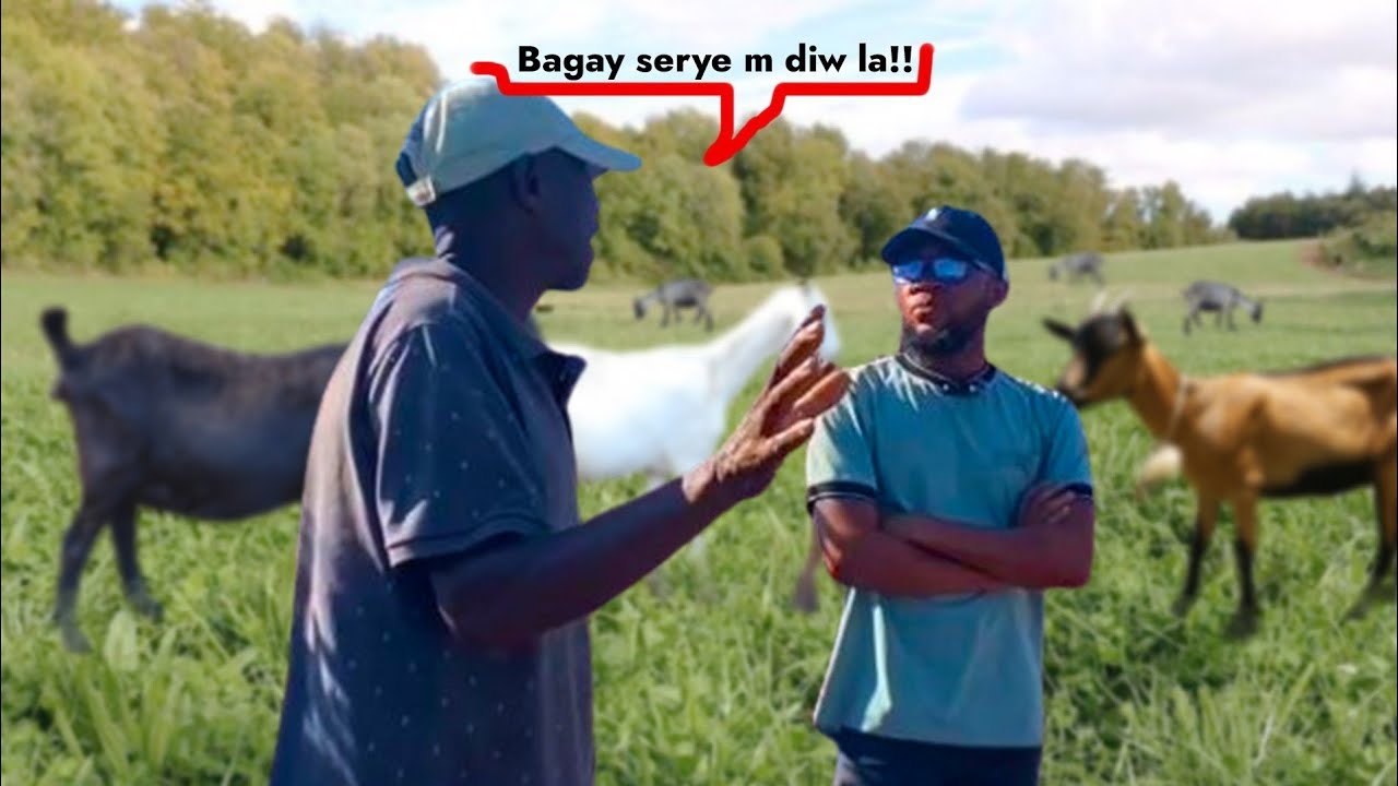 Bay 5000gdes yap baw 5 Kabrit (Elvaj ki reponn ak tout bezwen yo)Elevage