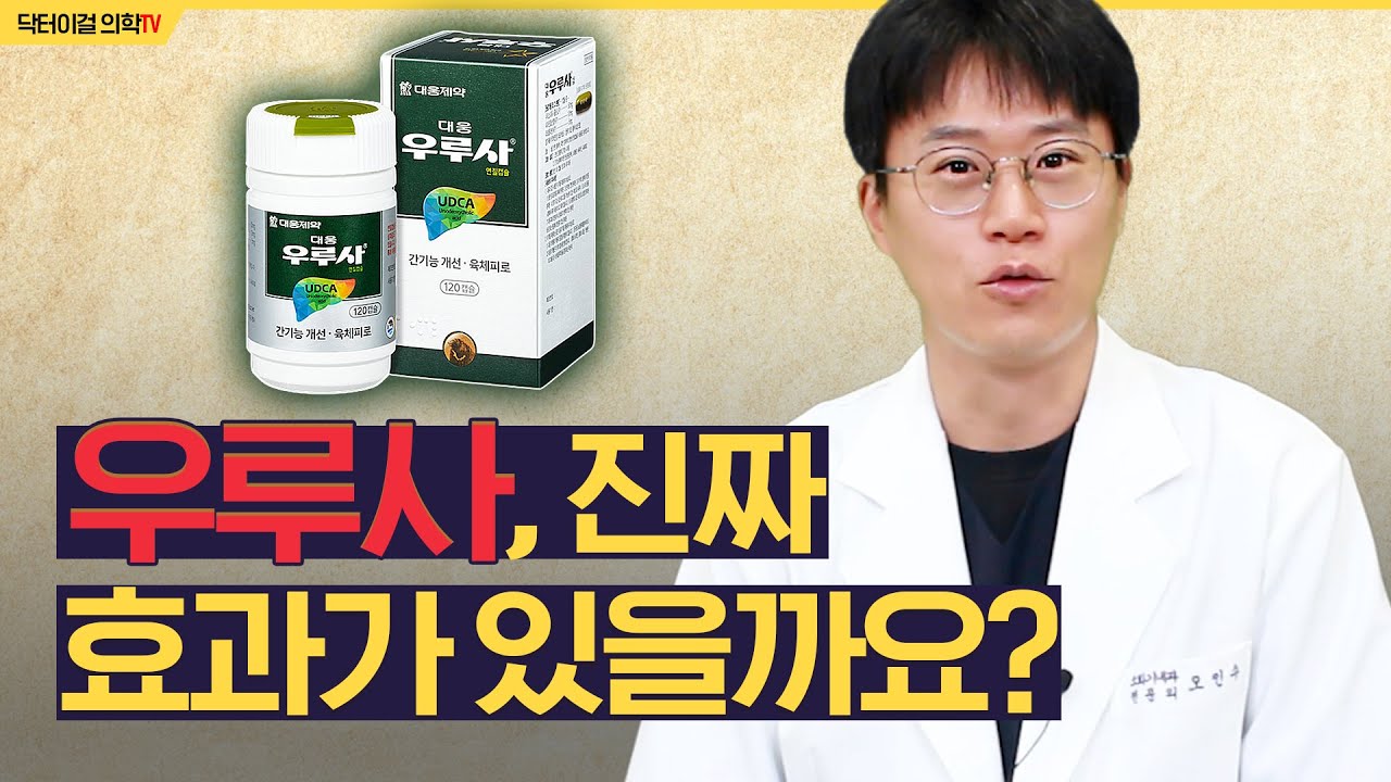 우루사, 진짜 간에 좋나요? (약의 진실과 오해)