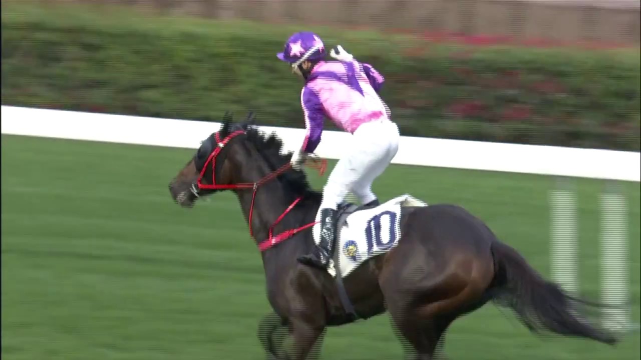 Joao Moreira Wins Eight Races in One Card