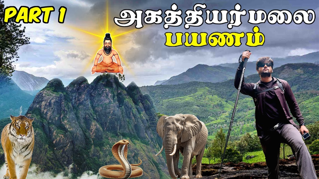 😱AGASTHIYAR MALAI TREKKING |POTHIGAI MALAI | AGASTHYARKOODAM | அகத்தியர் மலை பயணம் 😍 | Aravind Vlogs