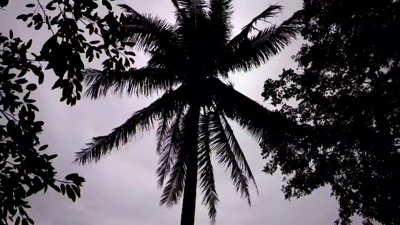SHORT CINEMATIC B-ROLL feat. St. Vincent Water Supply