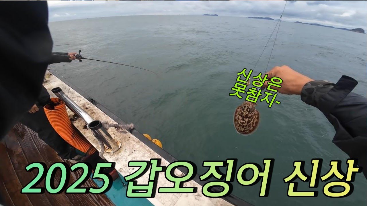 갑오징어 낚시 신제품 사용해보았습니다