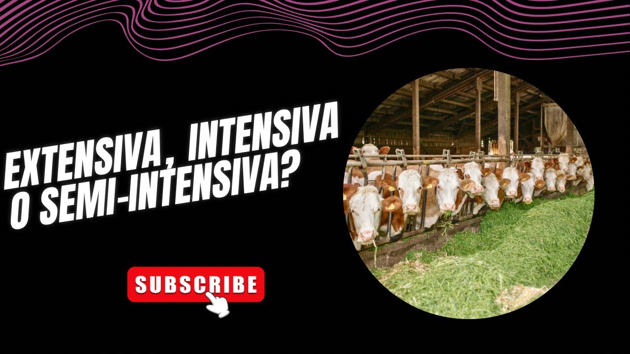 ¿Ganadería Intensiva, Extensiva o Semi-intensiva?