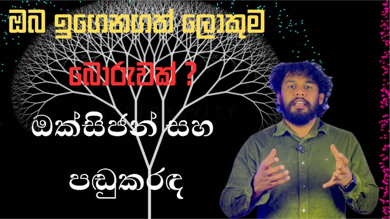 පඬුකරඳ  ගස් ඔක්සිජන් දෙන්නේ නෑ? (පිළිතුර ඔබව පුදුමයට පත් කරයි)