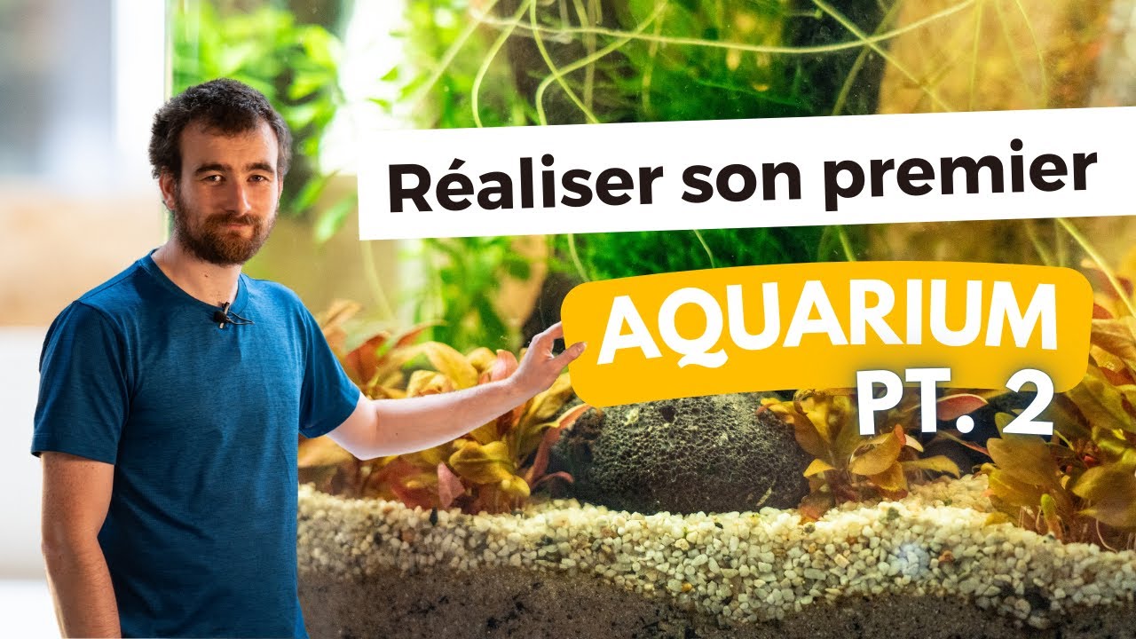 DEUXIÈME ÉTAPE POUR CRÉER VOTRE AQUARIUM DE A À Z | AQUABOTA