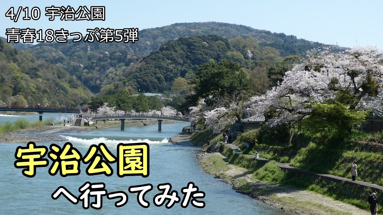 2024年  宇治公園へ行ってみた 20240410