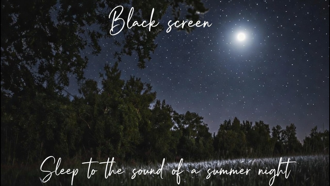 Sleep to the sound of a summer night *Black Screen*