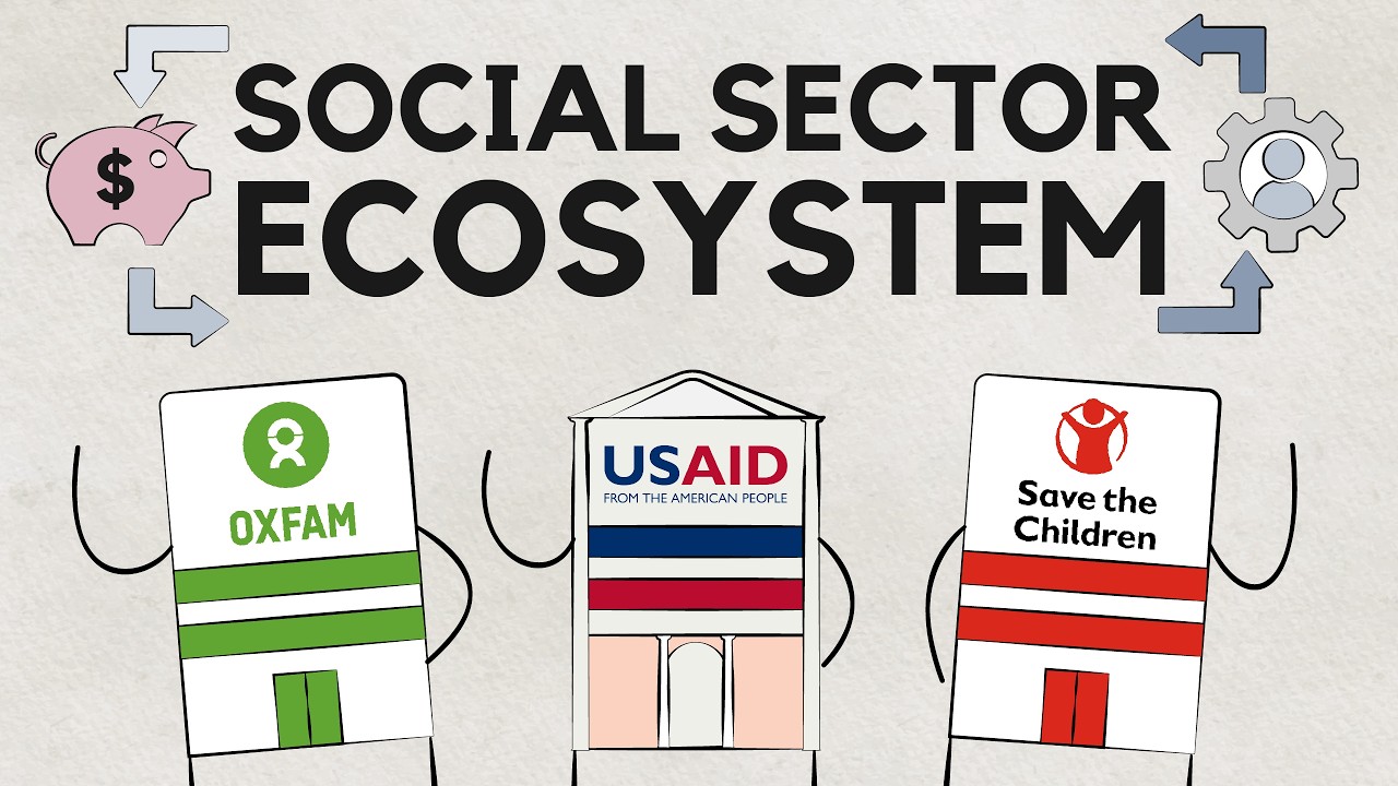 Non-Profit Sector Overview - Social Sector Ecosystem