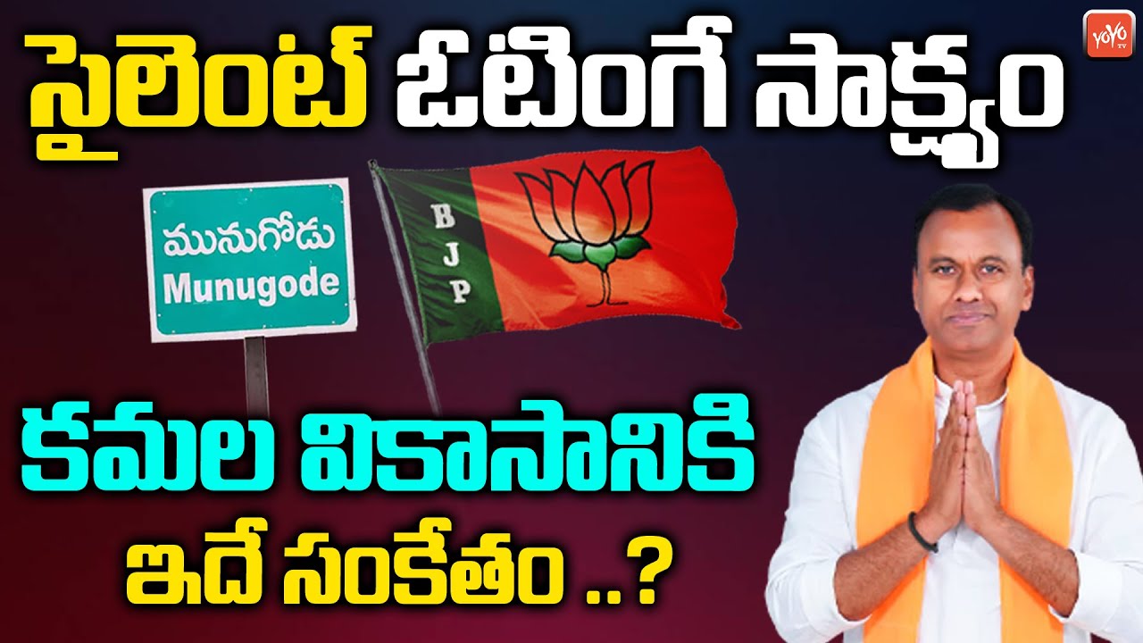 BJP Will Win In Munugodu By Polls | Munugodu Results 2022 | Munugodu Exit Poll | Rajagopal |YOYO TV