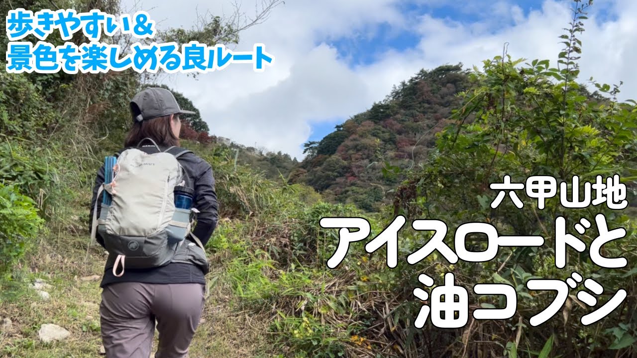 【夫婦登山】アイスロードで登る六甲山地〜油コブシ【ゆったり登れて景色満喫】