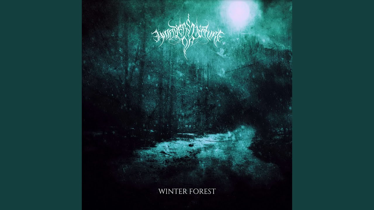 Winter Forest