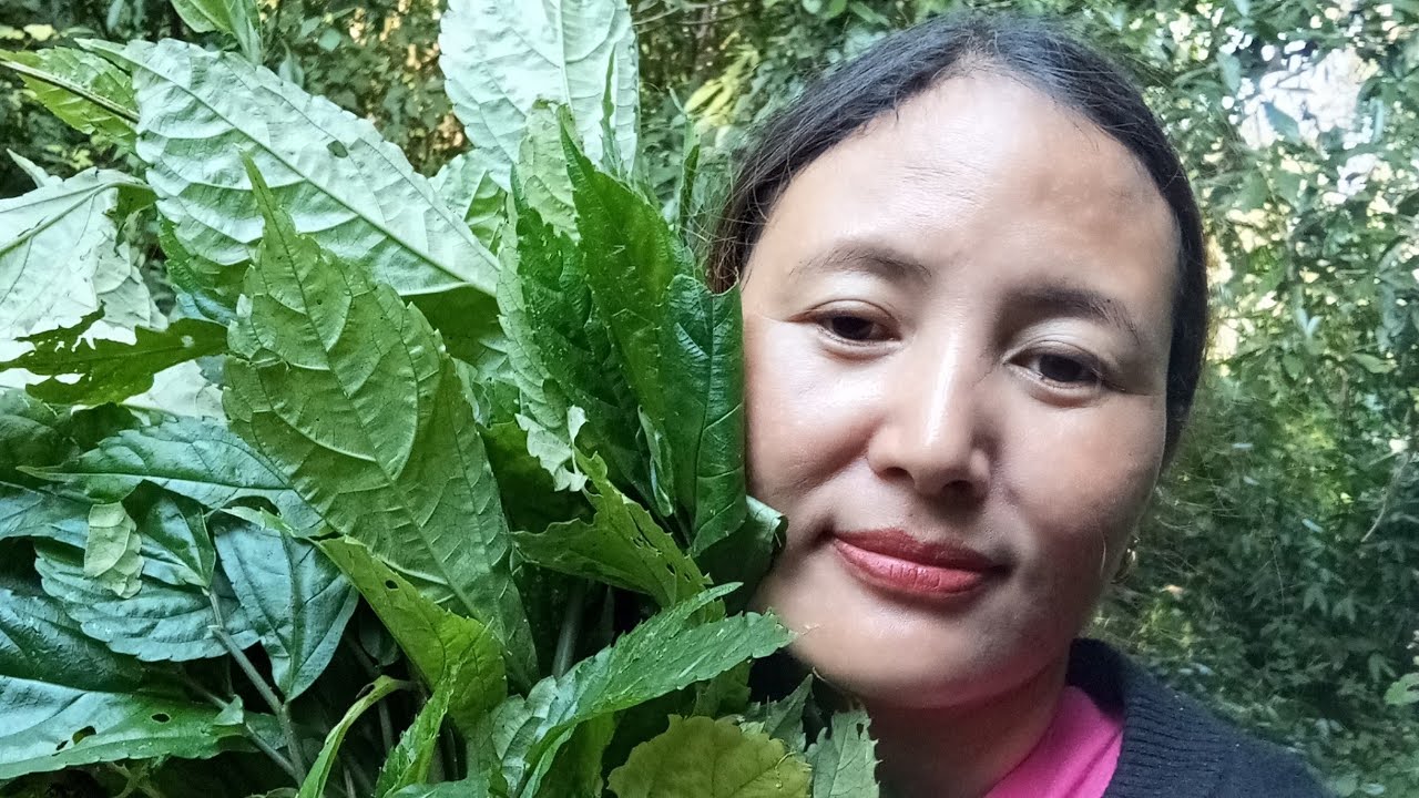 After so many years# going to jungle to collect fresh green vegetables🌿with my relatives