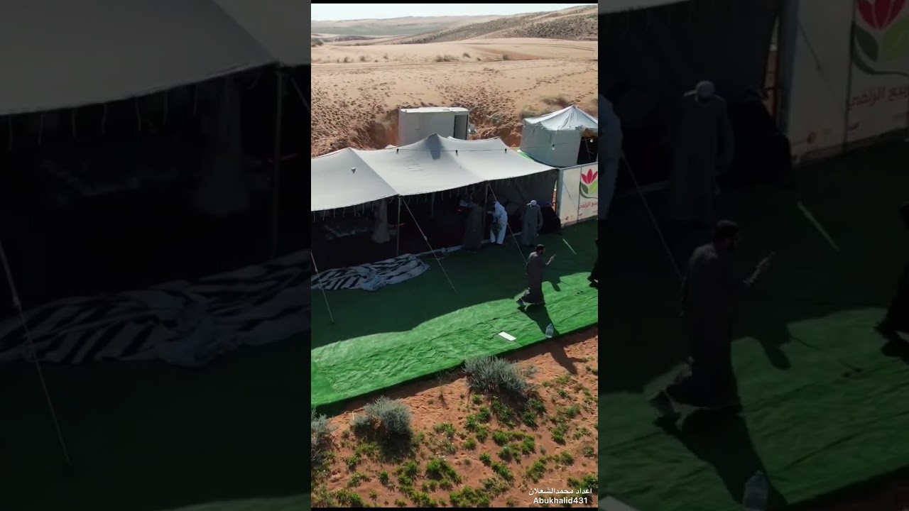 محمية البرادية بالزلفي ١٤٤٦/٧/٤هـ / تقرير محمدالشعلان