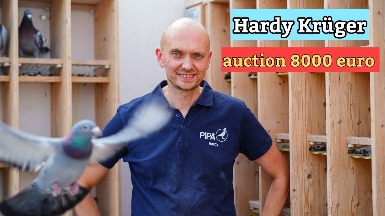 Racing Pigeon Auction: Hardy Krüger's Champion Pigeon Royal Black Sky Girl - €8000