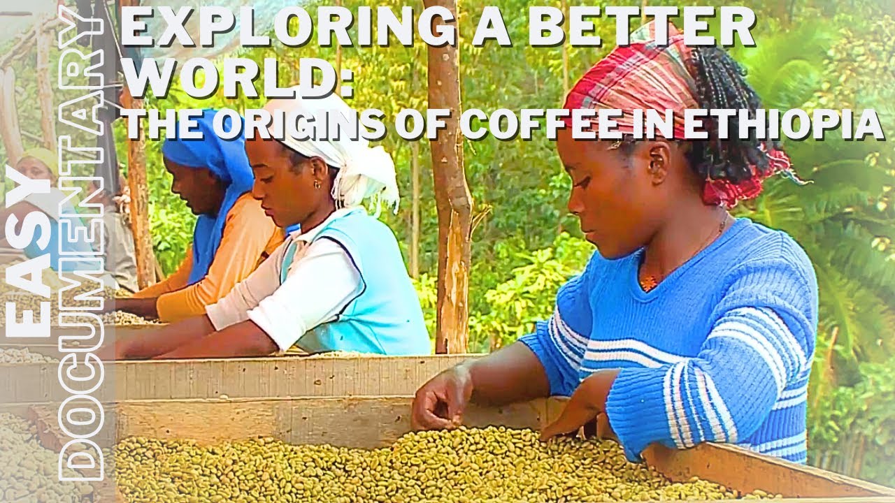 Exploring a Better World: The Origins of Coffee in Ethiopia - Full Travel Documentary