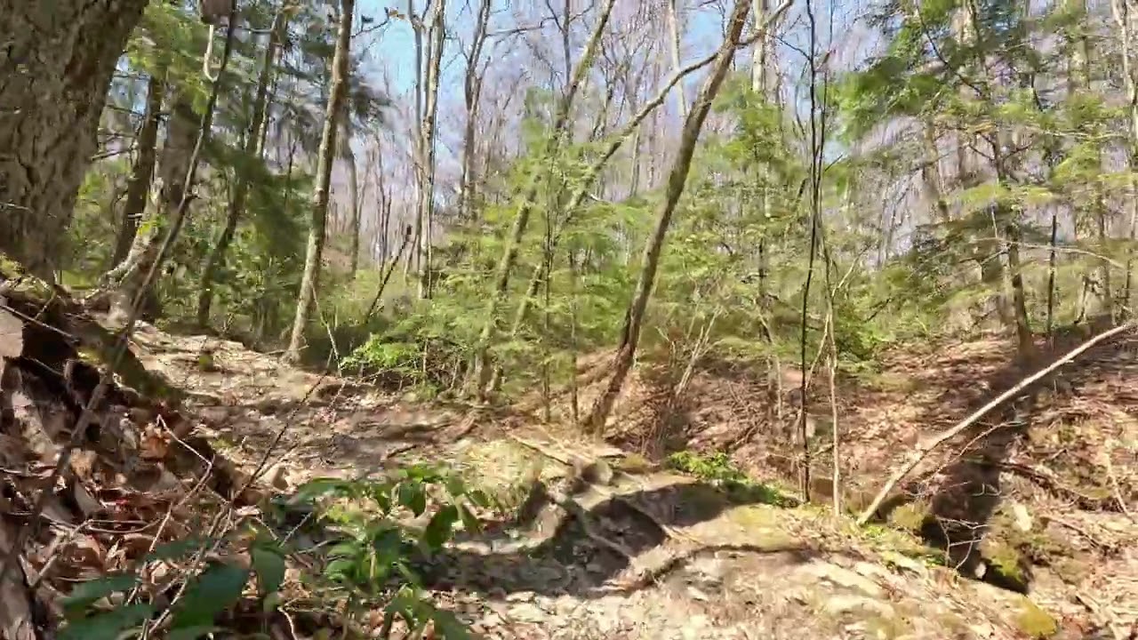 Alander Mountain Trail in Mount Washington State Forest